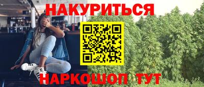 гидропоника Новокубанск