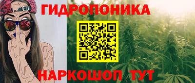 эйфоретик Новодвинск