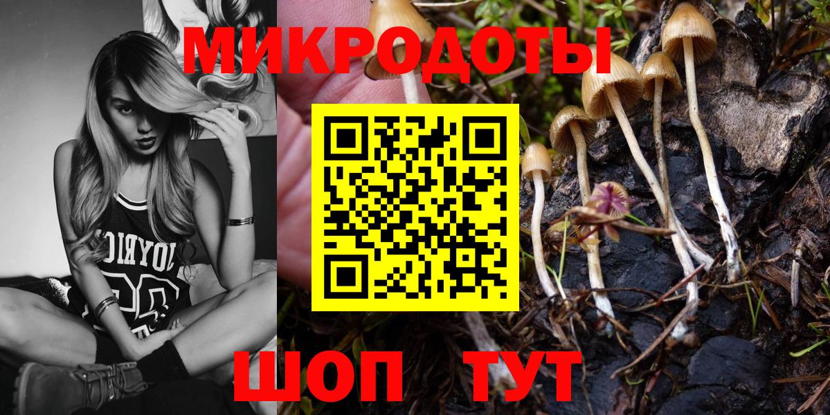 Псилоцибиновые грибы MAGIC MUSHROOMS Шебекино