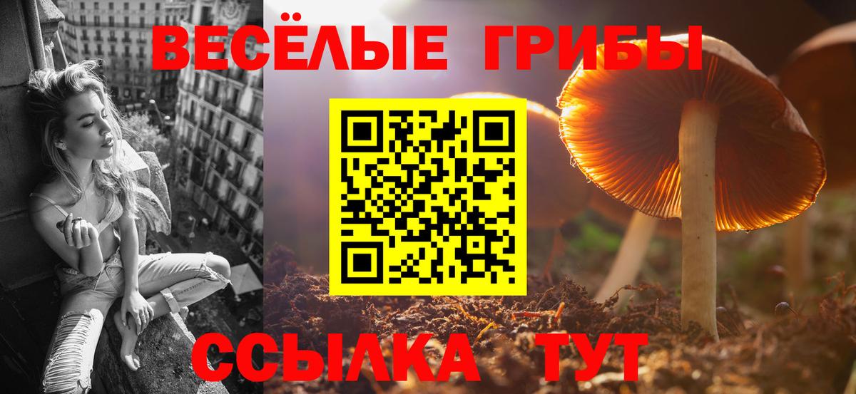 Шебекино  Галлюциногенные грибы Magic Shrooms  Псилоцибиновые грибы мицелий  Вход с VPN 